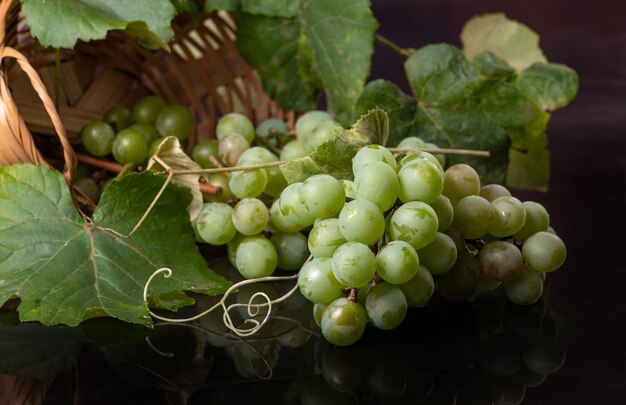 Uvas, cachos de uvas verdes colocados juntos com uma cesta de palha na superfície reflexiva, foco seletivo.