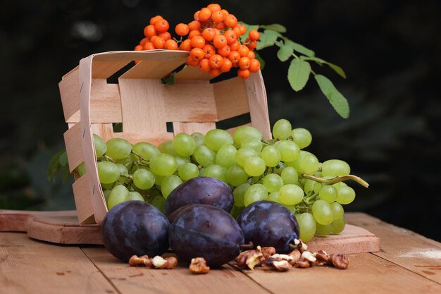 Uvas, ciruelas y serbal en una canasta sobre un fondo borroso Grupo de frutas coloridas de otoño saludables en una canasta de madera sobre una mesa de madera