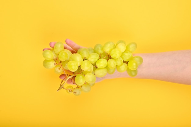 Las uvas se colocan en la mano. sobre un fondo amarillo Uvas volumétricas. Un racimo de arbusto de uva verde. Lay Flat