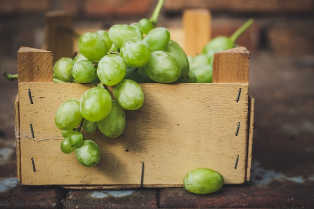 uvas, cosecha madura y jugosa
