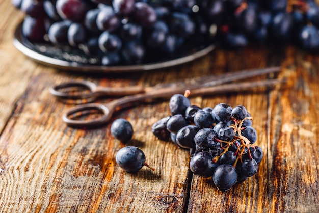 Uvas de videira azul e tesouras enferrujadas na madeira