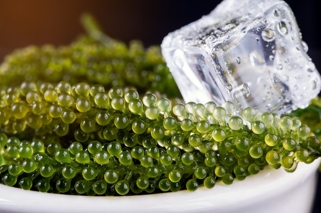 Uvas do mar (caviar verde), algas marinhas,