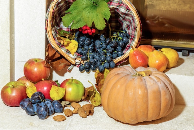 Uvas frescas, manzanas, ciruela, peras, almendras y calabazas. Cosecha estacional de frutas de otoño