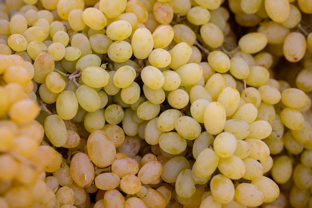 Uvas frescas en el mercado