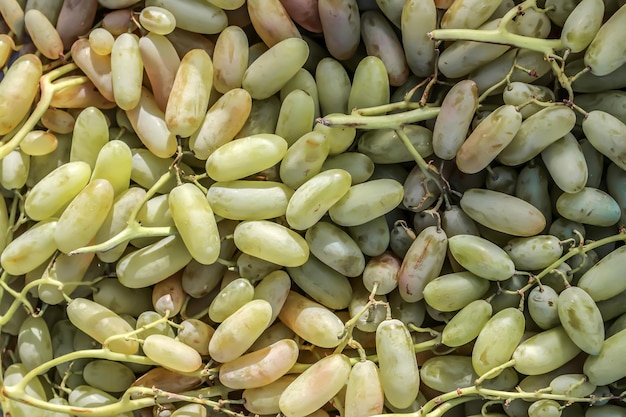 Las uvas frescas se venden en el mercado.