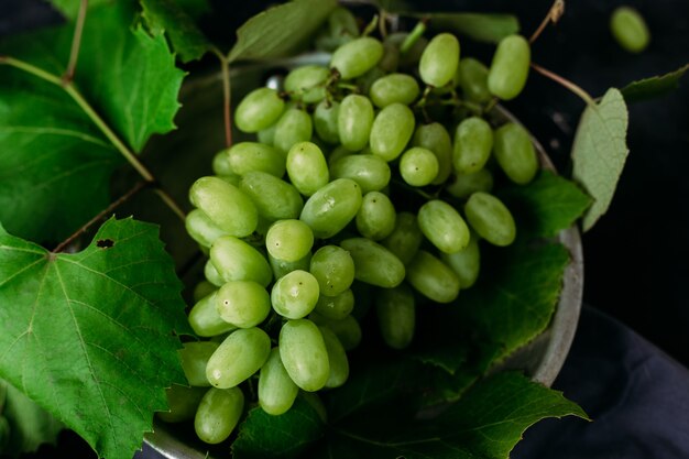 Uvas maduras em um fundo escuro