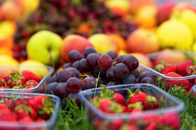 Uvas maduras manzanas y fresas sobre hierba verde con enfoque selectivo