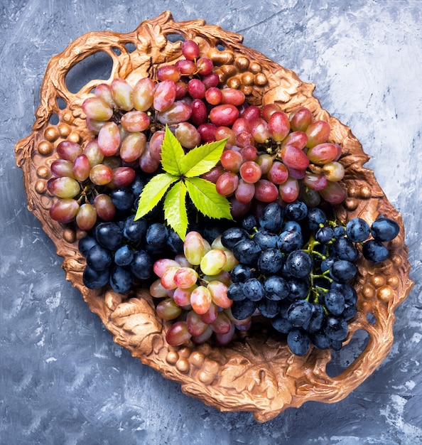 Uvas maduras de otoño