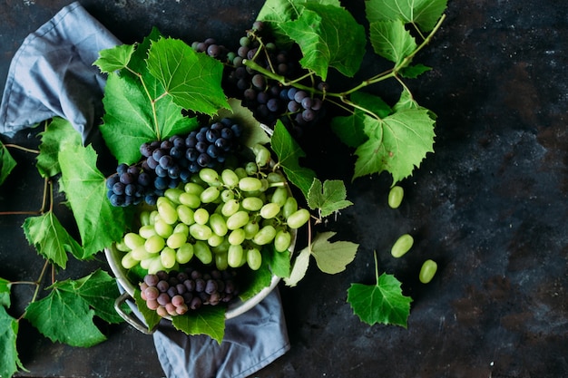 Uvas maduras sobre un fondo oscuro