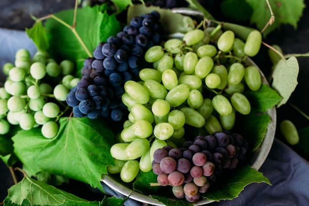 Uvas maduras sobre un fondo oscuro