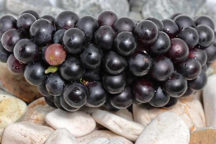 Foto uvas negras en fondo de textura