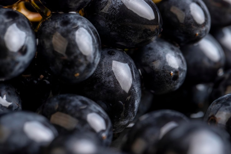 Foto uvas negras maduras lavadas cubiertas con gotas de agua, uvas cosechadas de color oscuro con gotas de agua