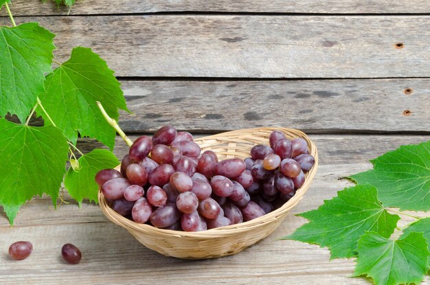 Uvas oscuras en una cesta sobre un fondo de tablas viejas y follaje verde