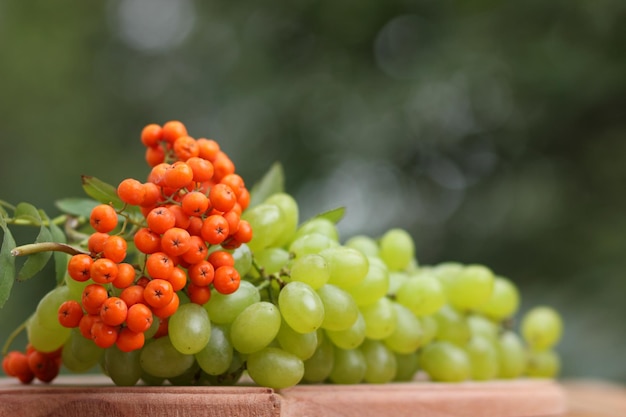 Uvas de otoño y bayas de serbal en un primer plano de la mesa de madera Uvas verdes maduras y serbas naranjas en una tabla de madera sobre un fondo borroso