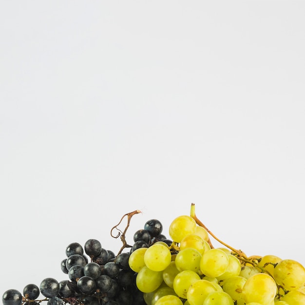 Foto uvas pretas e brancas deliciosas