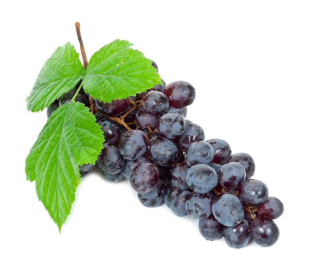 Uvas pretas frescas com folhas