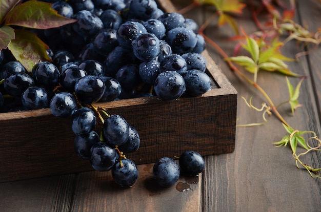 Uvas pretas frescas na bandeja de madeira escura na tabela de madeira.