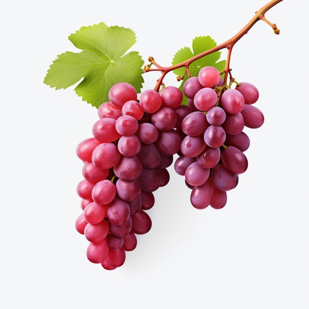 Uvas rojas frescas con hojas aisladas en blanco