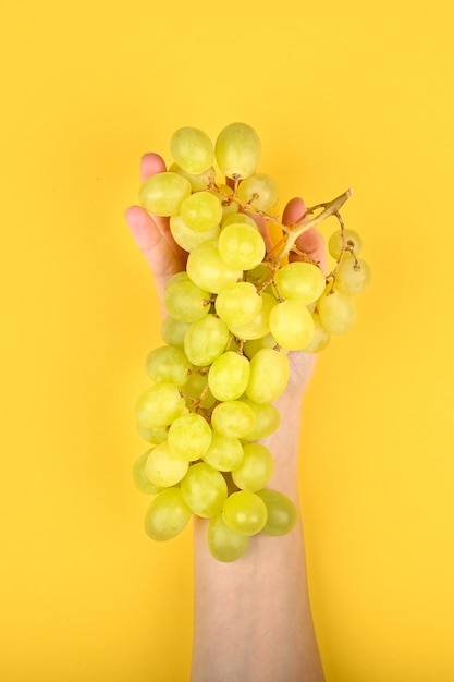 Uvas são dispostas na mão. sobre um fundo amarelo. Uvas volumétricas. Um monte de arbusto de uva verde. Configuração plana