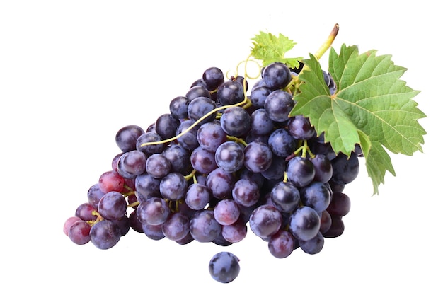 Uvas sobre un fondo blanco aislado