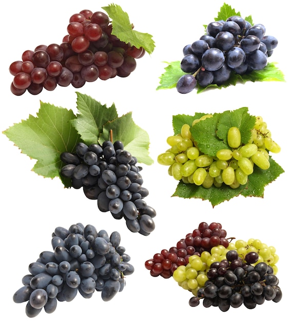 Uvas sobre un fondo blanco.