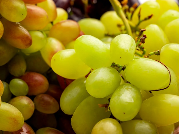 Uvas suculentas maduras. diferentes variedades de uvas. Fundo de cacho de uvas