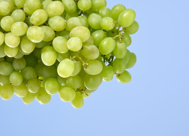 Uvas verdes dulces en el espejo Copiar espacio para el texto