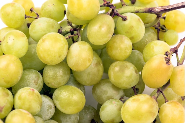 Uvas verdes frescas fecham