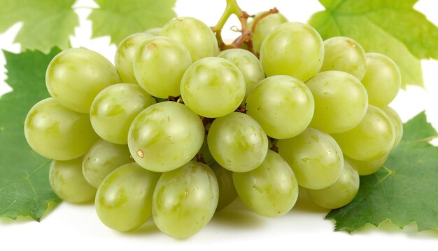 Uvas verdes frescas con hojas aisladas en blanco