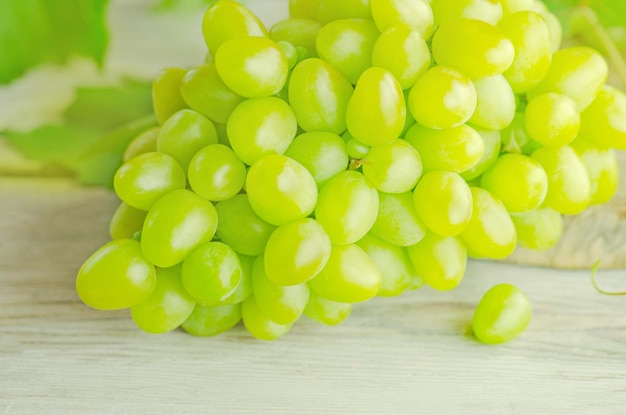 Uvas verdes frescas Racimo de uvas y hoja de vid