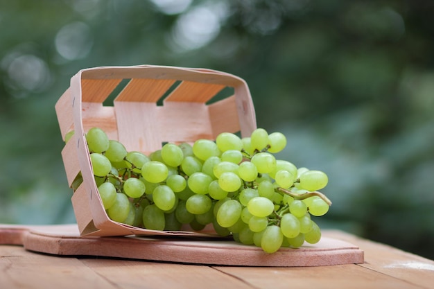 Uvas verdes maduras no cesto na mesa de madeira sobre fundo natural Frutas do outono Cesto com uma colheita de uvas suculentas maduras