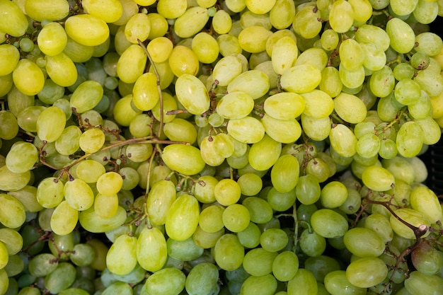 Uvas verdes suculentas