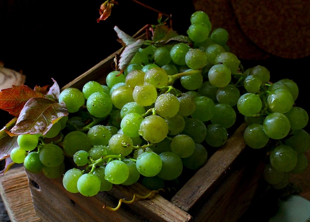 Uvas verdes vost rústico