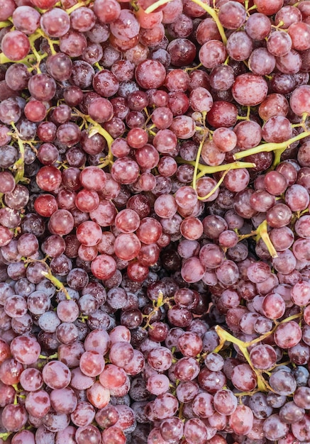 Uvas vermelhas no mercado