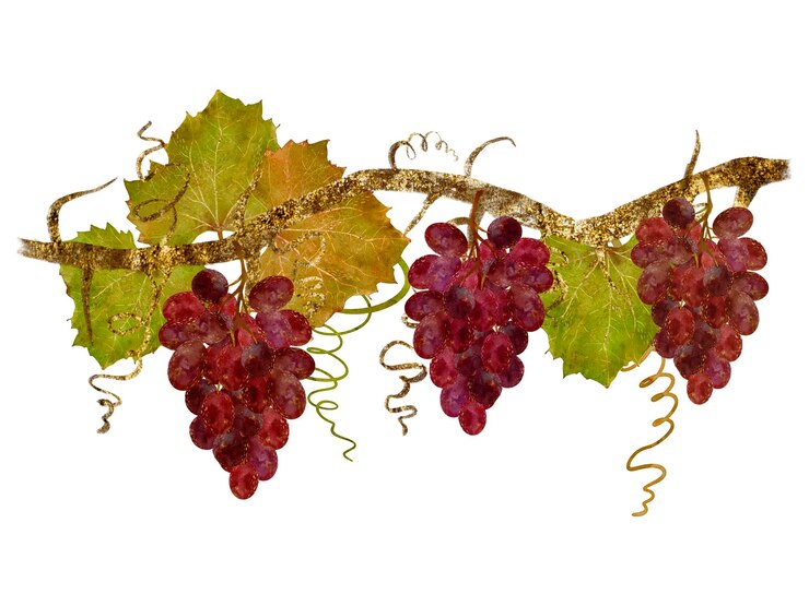 Foto las uvas vibrantes y coloridas cuelgan con gracia de una vid rodeada de hermosas hojas verdes