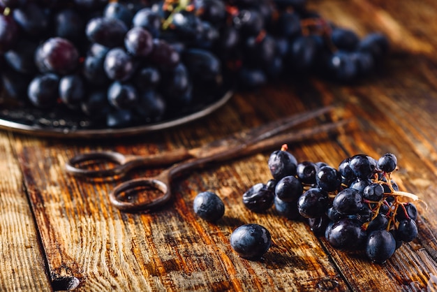 Uvas de vid azul y tijeras oxidadas sobre superficie de madera.