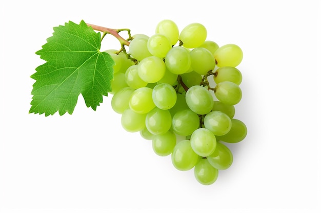 Foto uvas de vino verdes aisladas