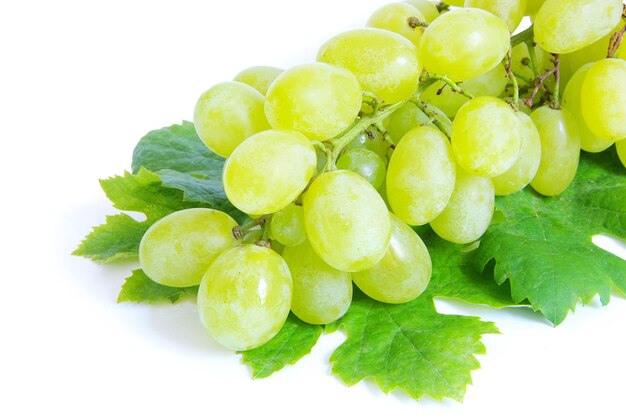 Uvas