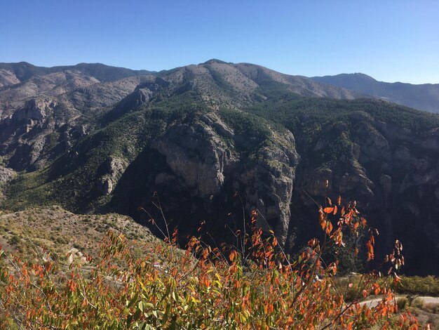 Foto uzungol turquía 10