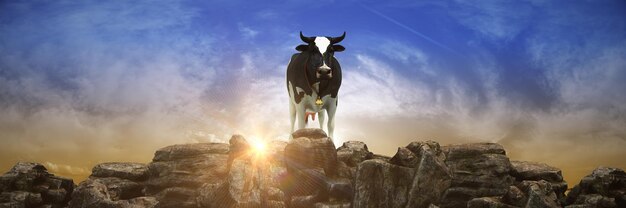 Una vaca se encuentra sobre una roca con el cielo de fondo.