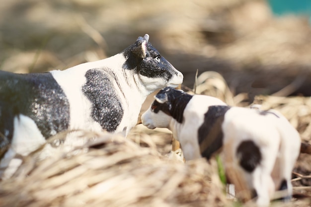 Vaca de juguete con ternero