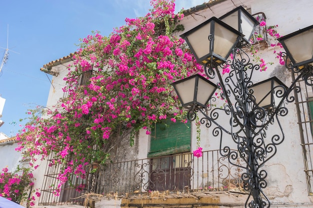 Vacaciones, arquitectura y calles de flores blancas en Marbella Andalucía España