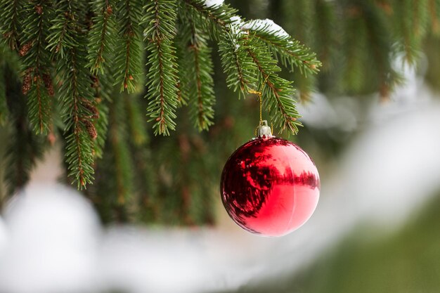 vacaciones de invierno y concepto de decoración - bola roja de navidad en la rama de abeto cubierta de nieve