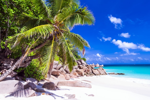 Vacaciones tropicales en las playas de arena blanca de las Seychelles, isla de Praslin