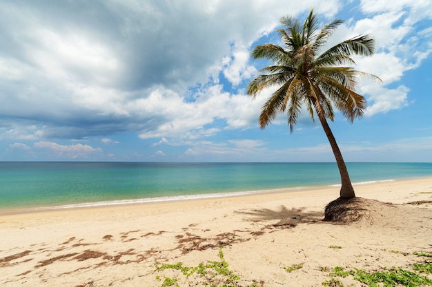 Vacaciones de verano y concepto de fondo de vacaciones