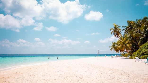 Vacaciones de verano fondo de pantalla de fondo soleado paraíso tropical caribeño playa con arena blanca en Seychelles Praslin island Tailandia estilo con palmeras