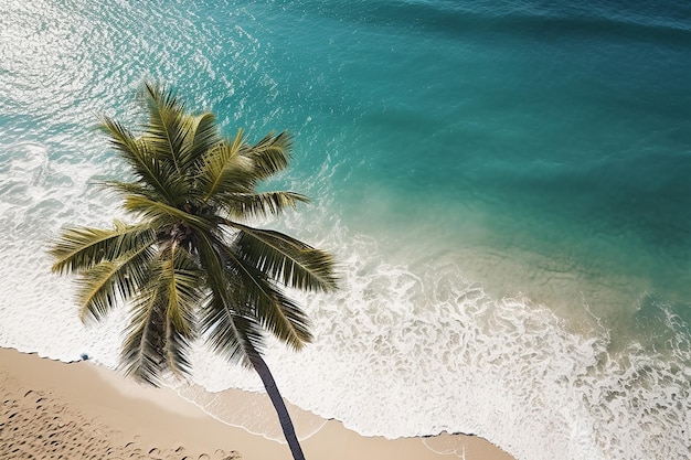 Vacaciones de verano en la playa Con el fondo del mar, el océano, el agua y la palmera