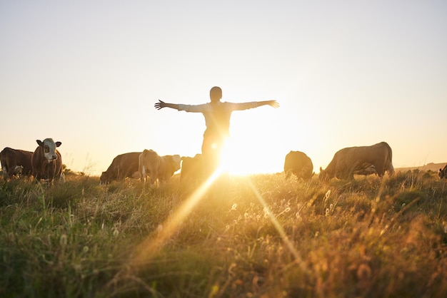 Vacas e mulheres ao nascer do sol na fazenda com os braços abertos para a aventura pela liberdade e entusiasmadas pela agricultura Agricultura sustentável manhã e costas do agricultor com gado e animais no campo