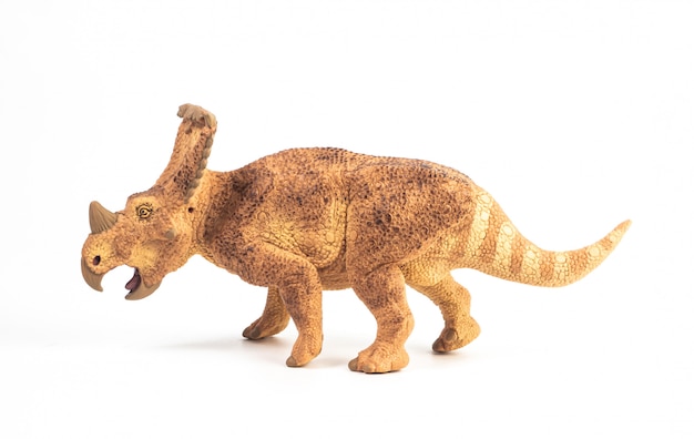 Vagaceratops-Triceratops-Dinosaurier auf weißem Hintergrund