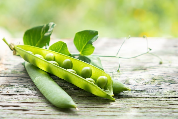 Vagem de ervilha verde fresca em uma mesa de madeira ao ar livre em um jardim.